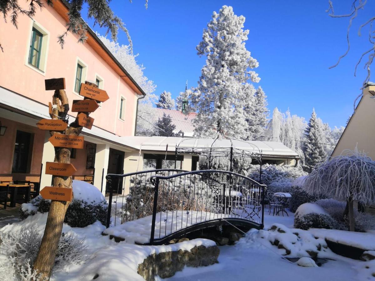Hotel Via Ironia Vysoké Mýto Екстериор снимка